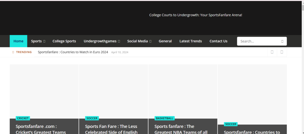 sportsfanfare.com website